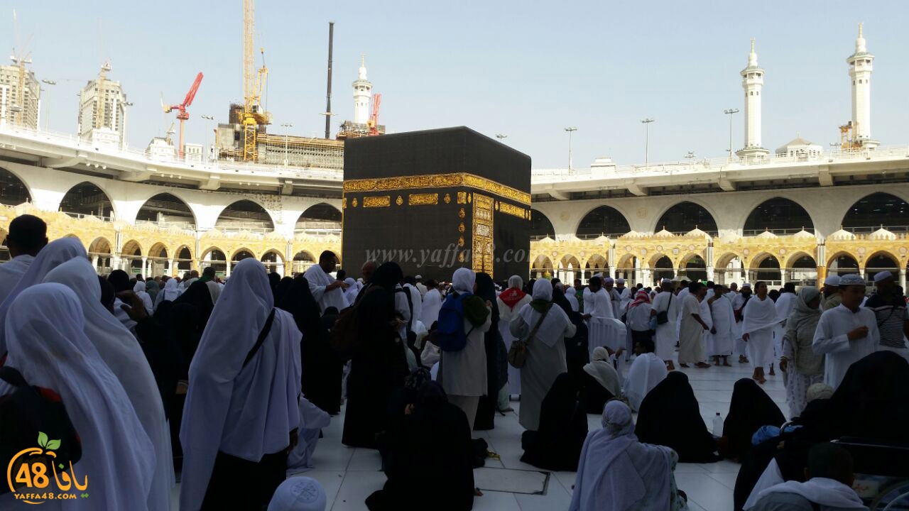 Mo3tmreen yaffa makkeh (22).jpg